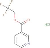2,2,2-Trifluoroethyl pyridine-3-carboxylate hydrochloride