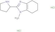 1-Methyl-2-(pyrrolidin-2-yl)-4,5,6,7-tetrahydro-1H-1,3-benzodiazole dihydrochloride