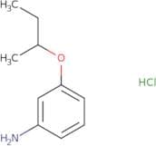 3-(Butan-2-yloxy)aniline hydrochloride