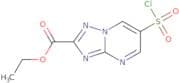 Ethyl 6-(chlorosulfonyl)-[1,2,4]triazolo[1,5-a]pyrimidine-2-carboxylate