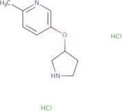 2-Methyl-5-(pyrrolidin-3-yloxy)pyridine dihydrochloride