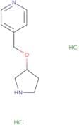 4-[(Pyrrolidin-3-yloxy)methyl]pyridine dihydrochloride