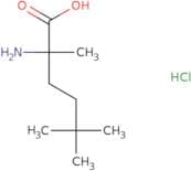 2-Amino-2,5,5-trimethylhexanoic acid hydrochloride