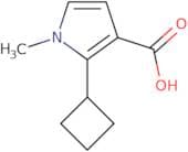 2-Cyclobutyl-1-methyl-1H-pyrrole-3-carboxylic acid