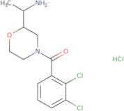 1-[4-(2,3-Dichlorobenzoyl)morpholin-2-yl]ethan-1-amine hydrochloride