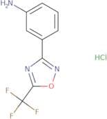 3-[5-(Trifluoromethyl)-1,2,4-oxadiazol-3-yl]aniline hydrochloride