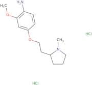 2-Methoxy-4-[2-(1-methylpyrrolidin-2-yl)ethoxy]aniline dihydrochloride