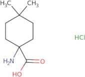1-Amino-4,4-dimethylcyclohexane-1-carboxylic acid hydrochloride