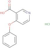 4-Phenoxypyridine-3-carboxylic acid hydrochloride