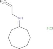 N-(Prop-2-en-1-yl)cyclooctanamine hydrochloride