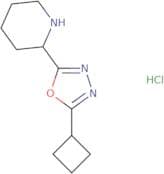 2-(5-Cyclobutyl-1,3,4-oxadiazol-2-yl)piperidine hydrochloride