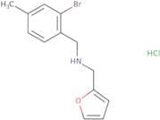 [(2-Bromo-4-methylphenyl)methyl](furan-2-ylmethyl)amine hydrochloride
