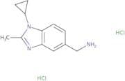 (1-Cyclopropyl-2-methyl-1H-1,3-benzodiazol-5-yl)methanamine dihydrochloride