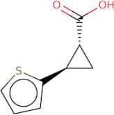 rac-(1R,2R)-2-(Thiophen-2-yl)cyclopropane-1-carboxylic acid
