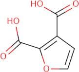 Furan-2,3-dicarboxylic acid