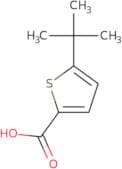 5-tert-Butylthiophene-2-carboxylic acid