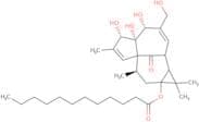 Dodecanoic acid ingenol ester