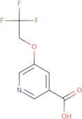 5-(2,2,2-Trifluoroethoxy)pyridine-3-carboxylic acid