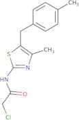 2-Chloro-N-{4-methyl-5-[(4-methylphenyl)methyl]-1,3-thiazol-2-yl}acetamide