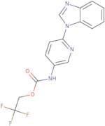 2,2,2-Trifluoroethyl N-[6-(1H-1,3-benzodiazol-1-yl)pyridin-3-yl]carbamate