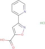3-(Pyridin-2-yl)-1,2-oxazole-5-carboxylic acid hydrochloride