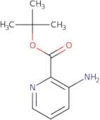 tert-Butyl 3-aminopyridine-2-carboxylate