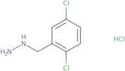 [(2,5-Dichlorophenyl)methyl]hydrazine hydrochloride
