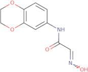 N-(2,3-Dihydro-1,4-benzodioxin-6-yl)-2-(N-hydroxyimino)acetamide