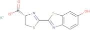 D-Luciferin Firefly, potassium salt - white