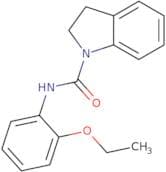 N-(2-ethoxyphenyl)indolinylformamide