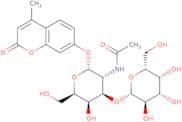 4-Methylumbelliferyl 2-acetamido-3-O-(b-D-galactopyranosyl)-a-D-galactopyranoside
