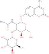 4-Methylumbelliferyl 2-acetamido-2-deoxy-3-O-(a-L-fucopyranosyl)-b-D-glucopyranoside