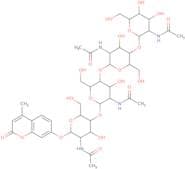 4-Methylumbelliferyl N,N',N'',N'''-tetraacetyl-b-D-chitotetraoside