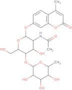 4-Methylumbelliferyl 2-acetamido-2-deoxy-4-O-(a-L-fucopyranosyl)-b-D-glucopyranoside