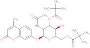 4-Methylumbelliferyl 2-acetamido-2-deoxy-3,6-di-O-pivaloyl-b-D-galactopyranoside
