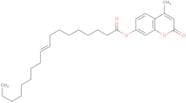 4-Methylumbelliferyl elaidate
