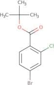 t-Butyl 4-bromo-2-chlorobenzoate