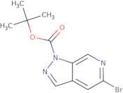 tert-Butyl 5-bromo-1H-pyrazolo[3,4-c]pyridine-1-carboxylate