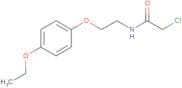 2-Chloro-N-[2-(4-ethoxyphenoxy)ethyl]acetamide