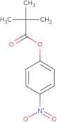 4-Nitrophenyl trimethylacetate