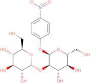 4-Nitrophenyl 2-O-(a-D-glucopyranosyl)-a-D-glucopyranoside