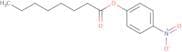 4-Nitrophenyl caprylate