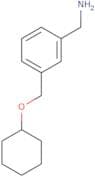 {3-[(Cyclohexyloxy)methyl]phenyl}methanamine
