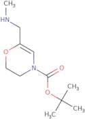 tert-Butyl 6-[(methylamino)methyl]-3,4-dihydro-2H-oxazine-4-carboxylate