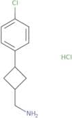 [3-(4-Chlorophenyl)cyclobutyl]methanamine hydrochloride