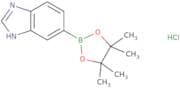 6-(Tetramethyl-1,3,2-dioxaborolan-2-yl)-1H-1,3-benzodiazole hydrochloride