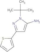 1-tert-Butyl-3-(thiophen-2-yl)-1H-pyrazol-5-amine