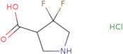 4,4-difluoropyrrolidine-3-carboxylic acid hydrochloride
