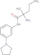 2-Amino-2-methyl-N-[3-(pyrrolidin-1-yl)phenyl]pentanamide