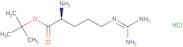 H-Arg-OtBu hydrochloride salt